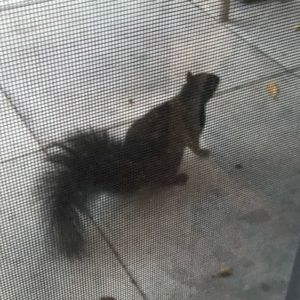 Meet your Posher, Teresa